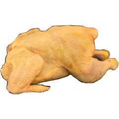 Tanyasi egész csirke