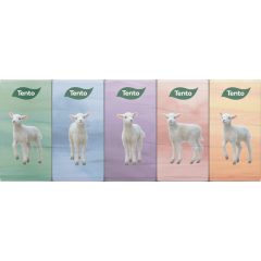 Tento Papírzsebkendő 10x10 db