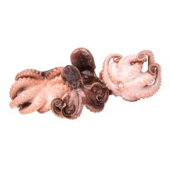 Bébi polip 20/40 20% glazúr 1 kg