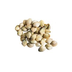 Vénuszkagyló egész, előfőzött 70/90 10% glazúr 1 kg