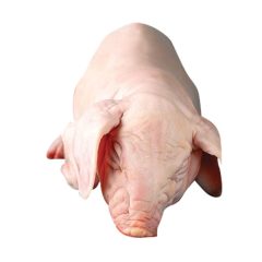 Malac egészben 12-17 kg/db fagyasztott