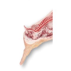 Malac félbevágva hátulja